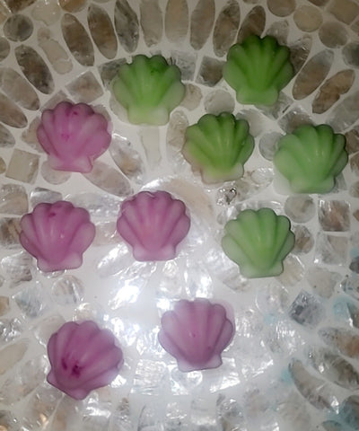 Sea Shells Wax Melts
